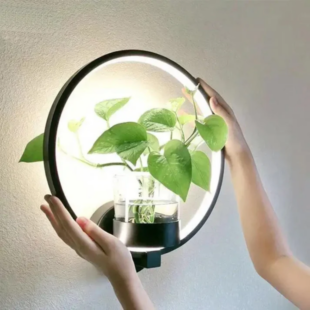 Moderne WandLuxe