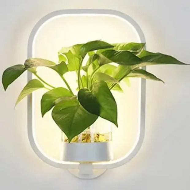 Moderne WandLuxe