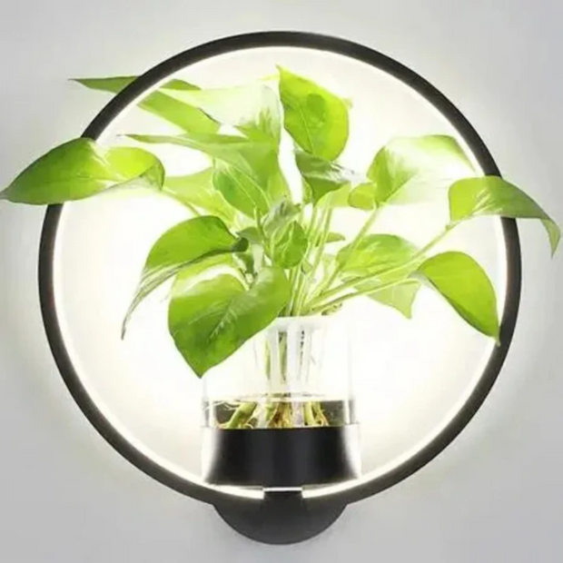 Moderne WandLuxe