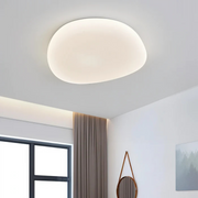 LED Deckenlampe dimmbar modern Wohnzimmer Schlafzimmer energieeffizient