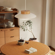 LumiSchale Hängeleuchte, 30cm, Moderne LED, AC 90-260V Deckenlampen