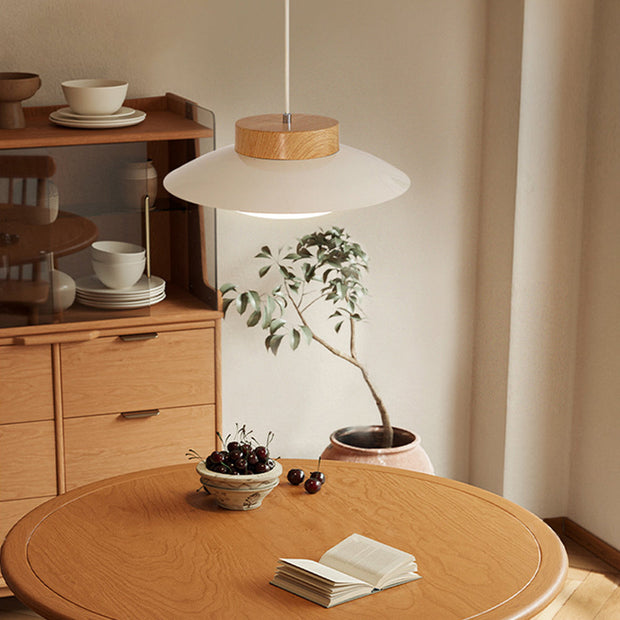 LumiSchale Hängeleuchte, 30cm, Moderne LED, AC 90-260V Deckenlampen