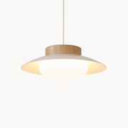 LumiSchale Hängeleuchte, 30cm, Moderne LED, AC 90-260V Deckenlampen
