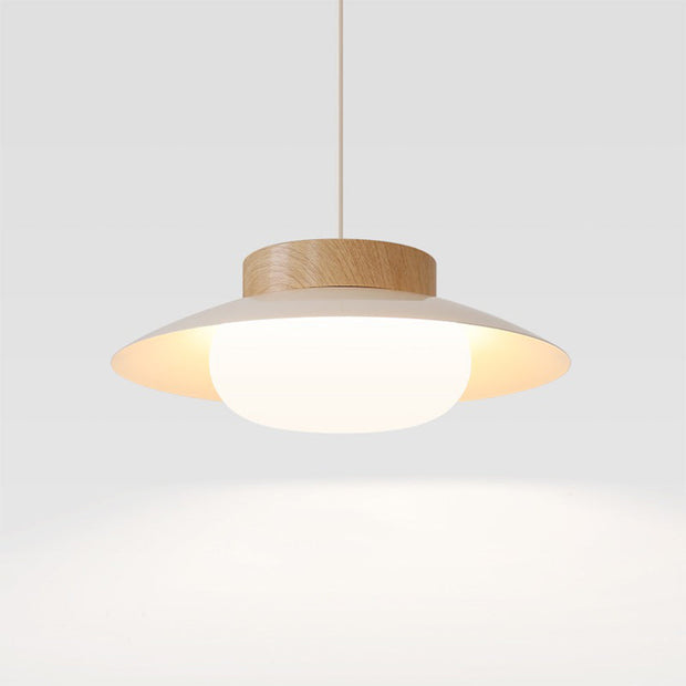 LumiSchale Hängeleuchte, 30cm, Moderne LED, AC 90-260V Deckenlampen