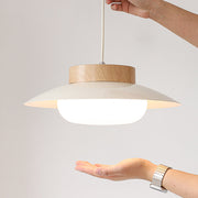 LumiSchale Hängeleuchte, 30cm, Moderne LED, AC 90-260V Deckenlampen