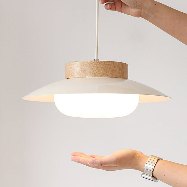 LumiSchale Hängeleuchte, 30cm, Moderne LED, AC 90-260V Deckenlampen
