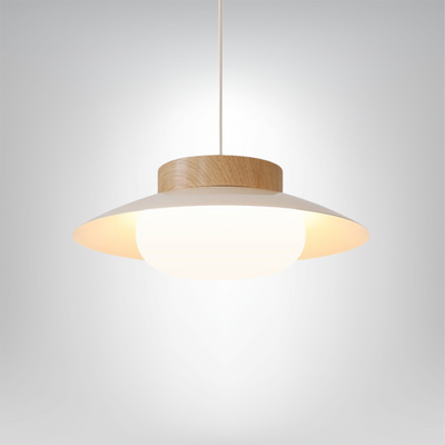 LumiSchale Hängeleuchte, 30cm, Moderne LED, AC 90-260V Deckenlampen