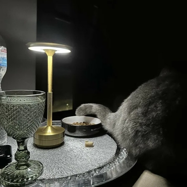 LichtWerk  kabellose Tischleuchte stufenlos dimmbar led-Technologie wiederaufladbar Akku