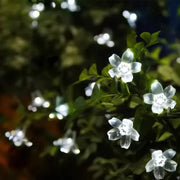 LichtBlume Solarleuchte Außenlampen