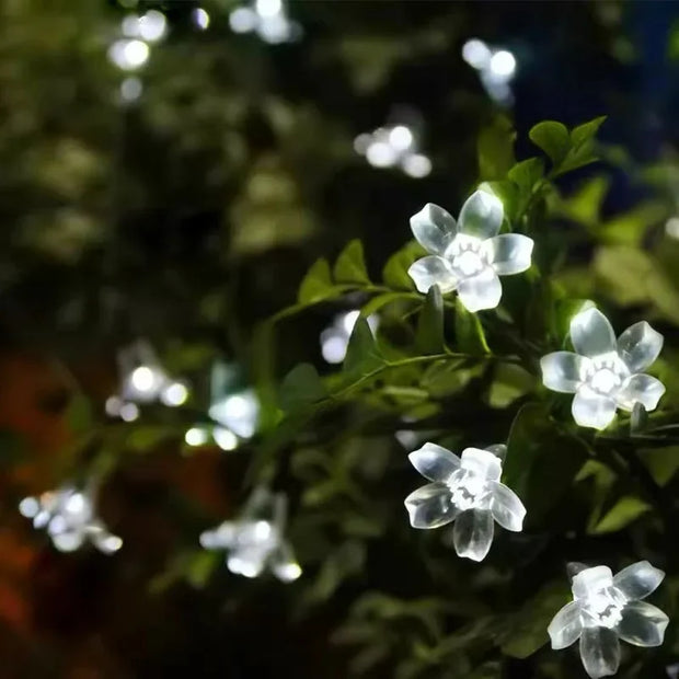 LichtBlume Solarleuchte Außenlampen