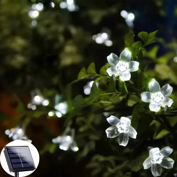 LichtBlume Solarleuchte Außenlampen