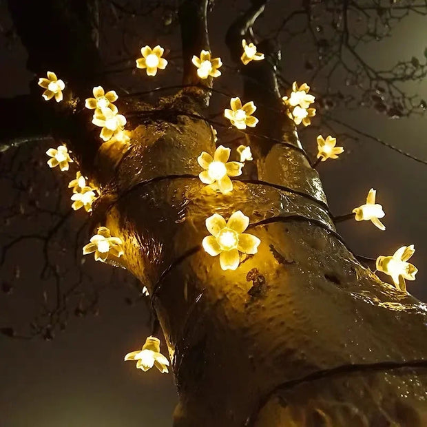 LichtBlume Solarleuchte Außenlampen