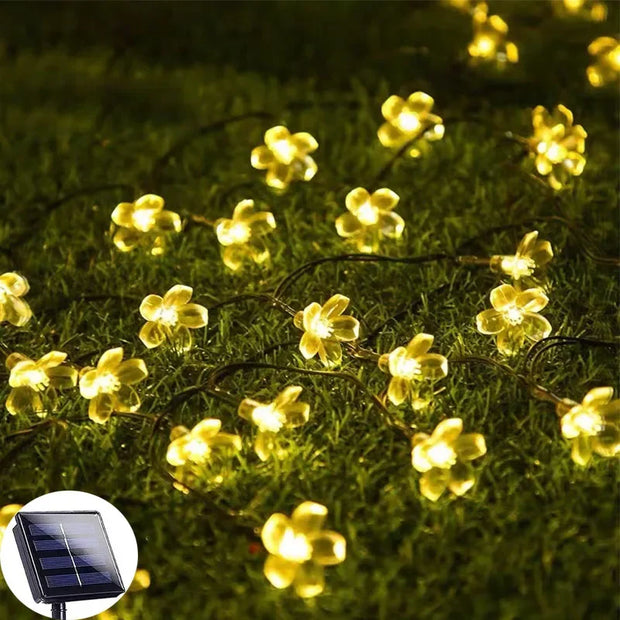 LichtBlume Solarleuchte Außenlampen